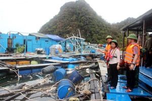 Chính phủ chỉ đạo NHNN có chính sách mới với gói tín dụng lâm, thuỷ sản