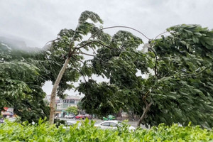 Bão vào đất liền dự báo tăng cao hơn trung bình nhiều năm, nguy cơ mưa lũ dồn dập ở khu vực Trung Bộ