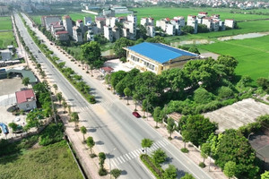 Huyện ven Hà Nội tiếp tục tổ chức đấu giá đất dù đã bị ‘bùng’ hơn 50 lô