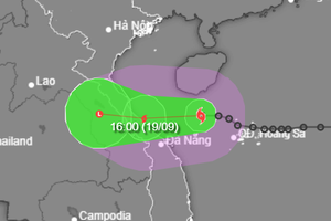 Tin bão số 4 khẩn cấp: Gió giật cấp 10, cách Đà Nẵng hơn 200km