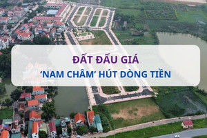 Loại hình nào đang là 'thỏi nam châm' sẽ 'hút cạn' dòng tiền của nhà đầu tư trong tương lai?