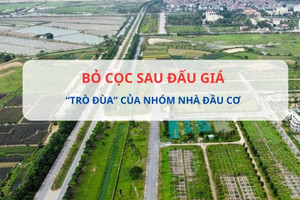 Bỏ cọc sau khi đẩy giá lên cao: 'Trò đùa' của nhóm nhà đầu cơ