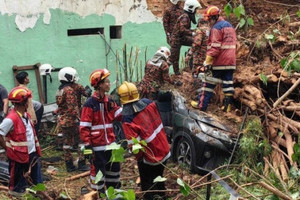 Cây đổ khiến hai du khách tử vong thương tâm trên 'đảo ngọc'