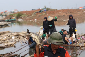 Nghìn tỷ bị bão cuốn bay, bảo hiểm nông nghiệp ở đâu?