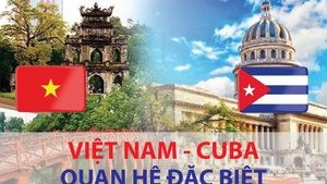 Infographics: Những dấu mốc quan trọng trong quan hệ đặc biệt Việt Nam - Cuba