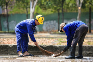 TP. HCM chỉ điểm 3 ngành nghề có nhu cầu tuyển dụng nhân lực cao nhất