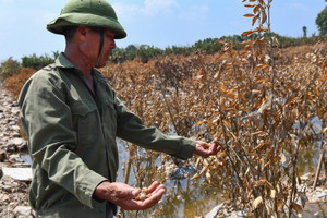 Chục nghìn tỷ mất trắng: Xót lắm nhưng phải làm lại ngay thôi!