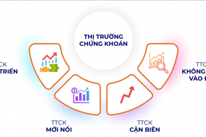 Góc nhìn nâng hạng thị trường chứng khoán từ nỗi lo thâu tóm doanh nghiệp