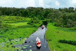 Bối cảnh phim 'Đất rừng Phương Nam' và chợ hơn 100 tuổi 'lên ngôi' trong cuộc đua điểm đến du lịch hấp dẫn 2024