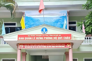 Thu tiền dân vào rừng khai thác măng, 4 cán bộ bị khởi tố