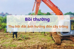 Từ bây giờ, áp dụng quy định mới về bồi thường khi thu hồi đất gây thiệt hại với cây trồng