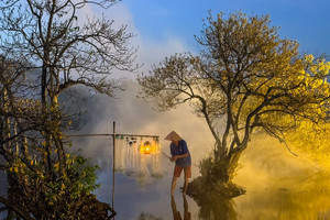 Rừng ngập mặn ở Huế chuyển màu vàng ươm, đẹp như ở trời Âu