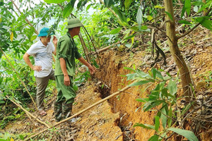 Bắc Giang công bố tình huống khẩn cấp sạt lở đất tại 3 huyện