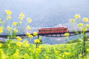 Cung đường tàu hoả leo núi dài nhất, hiện đại nhất Việt Nam: 6 phút trên mây qua 2 hầm, 4 cầu cạn