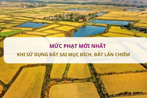 Từ nay, áp dụng quy định xử phạt mới nhất về sử dụng đất sai mục đích, đất lấn chiếm