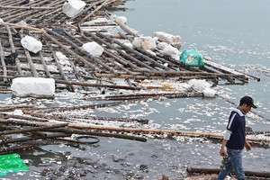 Chạy nghìn tỷ 'bay' theo mưa bão, nghề nuôi trồng đối mặt con số thấp nhất 4 năm