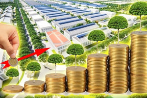 Hà Lan và Lào chiếm hơn 50% tổng vốn đầu tư của Việt Nam ra thế giới