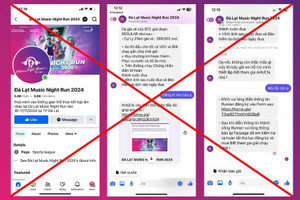 Kẻ gian mạo danh giải chạy Dalat Music Night Run để lừa đảo