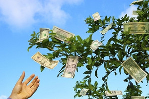 Lịch trả cổ tức bằng tiền của 10 doanh nghiệp, cao nhất 87%