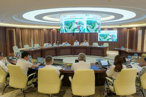 Đèo Cả muốn cùng tập đoàn tư nhân lớn thứ 2 Trung Quốc làm các đại dự án đường sắt, cao tốc