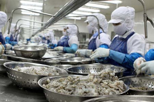 Thực phẩm Sao Ta (FMC) đạt 4.600 tỷ đồng doanh thu sau 9 tháng đầu năm 2024