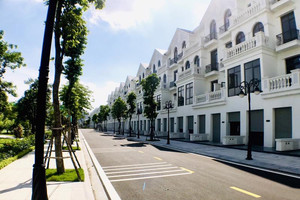 Dòng tiền đang đổ mạnh vào phân khúc biệt thự, nhà liền kề
