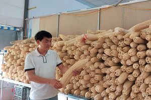 Làm giàu từ... xơ mướp