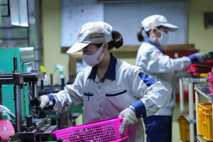 Từ 2025, doanh nghiệp không còn phải định kỳ niêm yết công khai thông tin đóng BHXH