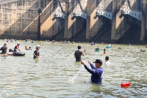 Người dân ùa xuống đập tràn nhà máy thủy điện Trị An săn 'lộc trời'