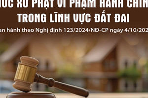 Mức xử phạt vi phạm hành chính trong lĩnh vực đất đai