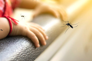 Bé trai 7 tuổi tử vong do sốt xuất huyết Dengue