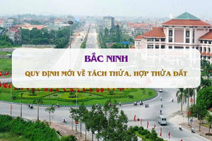 Tỉnh nhỏ nhất Việt Nam ban hành quy định tách thửa, hợp thửa đất mới nhất năm 2024