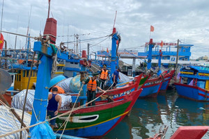 Thủ tướng yêu cầu ứng phó với bão Trà Mi theo phương châm 'bốn tại chỗ'