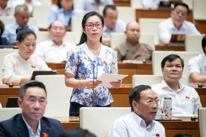 ĐBQH Trần Thị Thu Hằng: 'Nhiều phụ huynh cứ nghĩ trường bán BHYT là có lời, có hoa hồng'