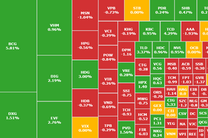 VN-Index giằng co dưới tham chiếu, cổ phiếu BCG kịch trần sau đột biến kinh doanh