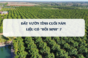 Phân khúc từng 'gây thương nhớ' cho các nhà đầu tư ở các tỉnh phía Nam liệu có 'hồi sinh' sau khi áp bảng giá đất mới?