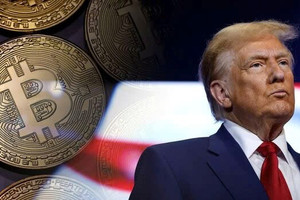 Bitcoin vượt 75.000 USD, phá đỉnh lịch sử vì nhà đầu tư đặt cược ông Trump sẽ thắng