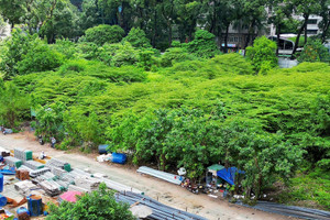 ‘Đất vàng’ bị bỏ trống lãng phí, TPHCM tính ngày xây nhà thi đấu Phan Đình Phùng