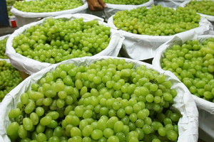 Thu giữ gần 7 tấn nho nhập khẩu trị giá hàng tỷ đồng nghi chứa chất độc hại, cơ quan chức năng Thái Lan cam kết siết chặt an toàn thực phẩm