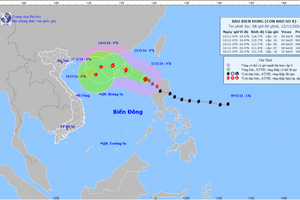 Bão số 8 giật cấp 12 tiến vào Biển Đông