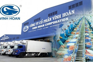 Doanh thu thị trường Mỹ của Vĩnh Hoàn (VHC) tăng 161% trong tháng 10/2024