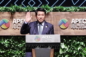 Chủ tịch nước phát biểu tại Hội nghị Thượng đỉnh doanh nghiệp APEC-CEO Summit