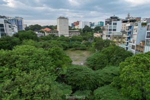 Cỏ hoang um tùm trên đất 'kim cương' nghìn tỷ giữa trung tâm TPHCM