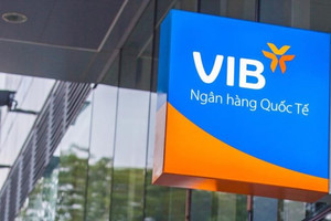 Vợ và con gái của Phó Chủ tịch VIB đăng ký mua 14 triệu cổ phiếu