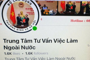 Tìm thông tin đi làm việc ở nước ngoài vào website nào?