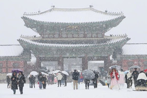 Seoul hứng chịu trận bão tuyết kỷ lục trong hơn 100 năm: Giao thông tê liệt, hàng trăm chuyến bay bị hủy