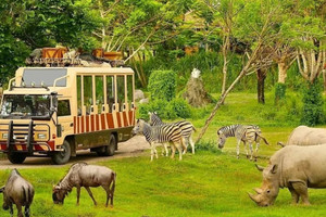 Vinpearl Safari Phú Quốc lọt Top 2 những vườn thú và thủy cung hàng đầu Châu Á