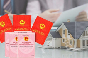 Cha mẹ bán đất cho con có được miễn thuế phí hay không?