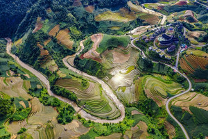Việt Nam có khu rừng được tạo thành bởi hệ thống núi cao 2.500m, sở hữu hơn 4.000 cây di sản, tuổi đời lên đến 800 năm