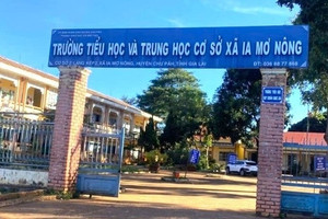 Hiệu trưởng lập khống hồ sơ tăng giờ, bán cây xanh trong trường học